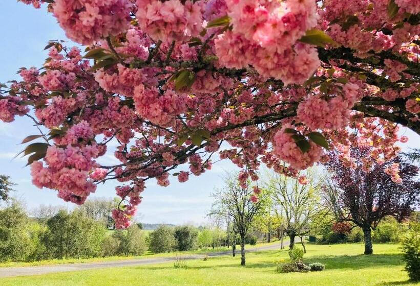 Les Cèdres Du Linard, Chambres D Hôtes B&b Near Lascaux, Montignac, Sarlat La Canéda, Dordogne