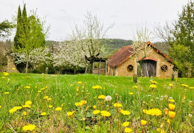 Les Cèdres Du Linard, Chambres D Hôtes B&b Near Lascaux, Montignac, Sarlat La Canéda, Dordogne