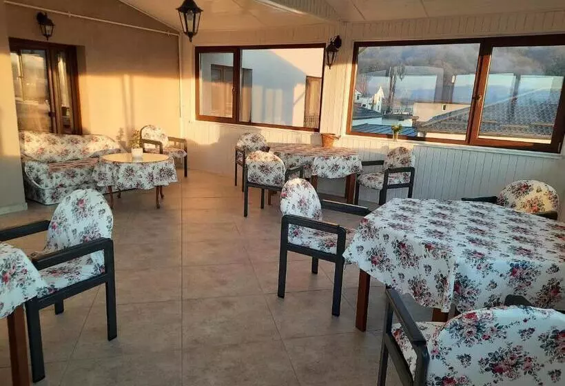 ペンション Aristocat Hotels Rasnov