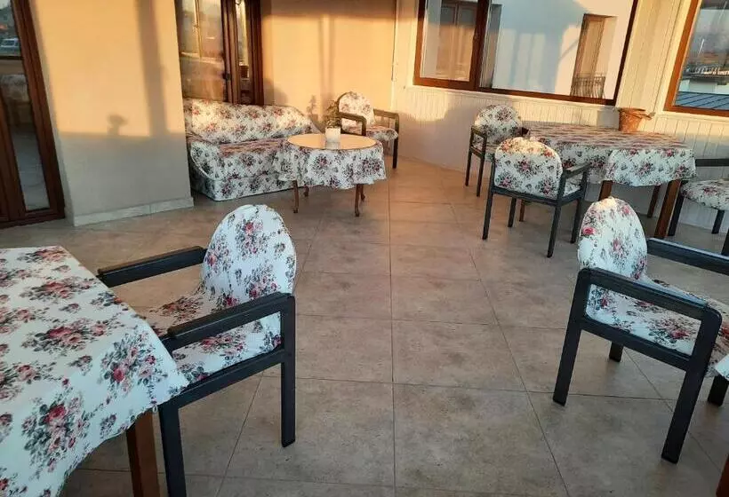 ペンション Aristocat Hotels Rasnov