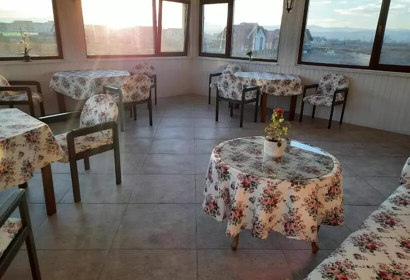 ペンション Aristocat Hotels Rasnov
