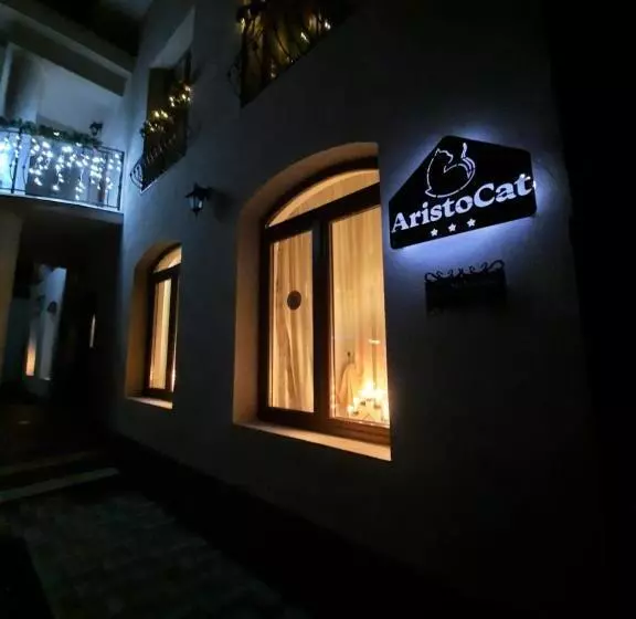 ペンション Aristocat Hotels Rasnov