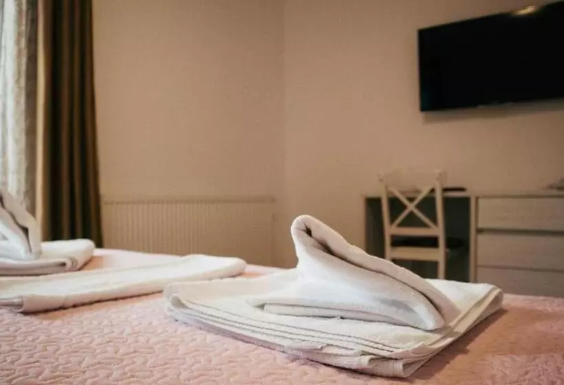 ペンション Aristocat Hotels Rasnov