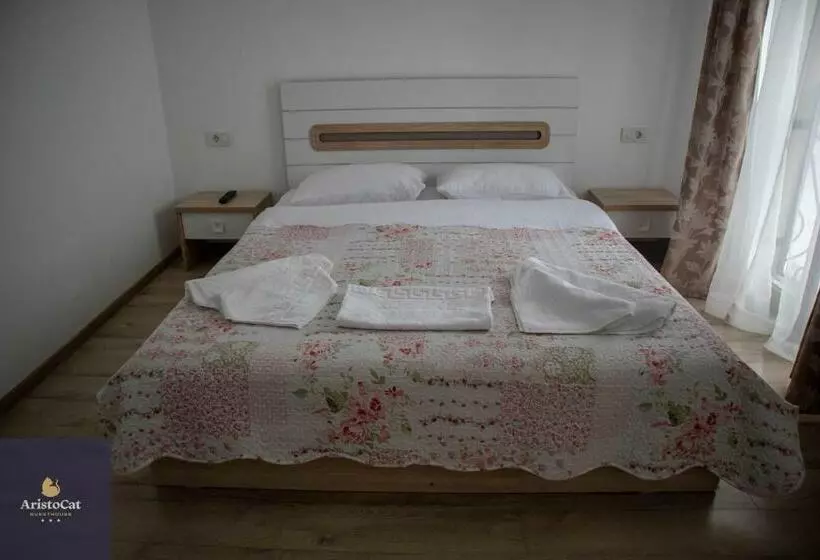 ペンション Aristocat Hotels Rasnov