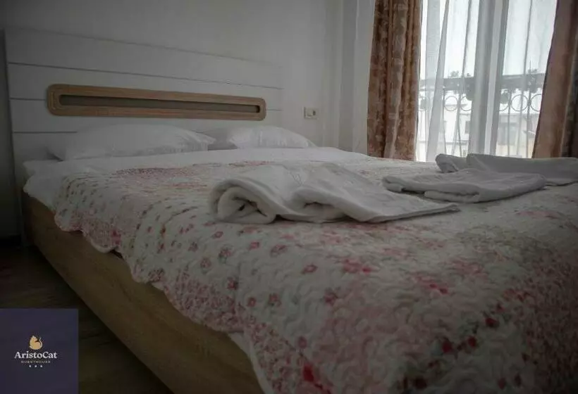 ペンション Aristocat Hotels Rasnov
