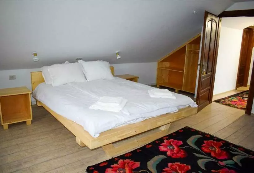 پانسیون Casa Traistau