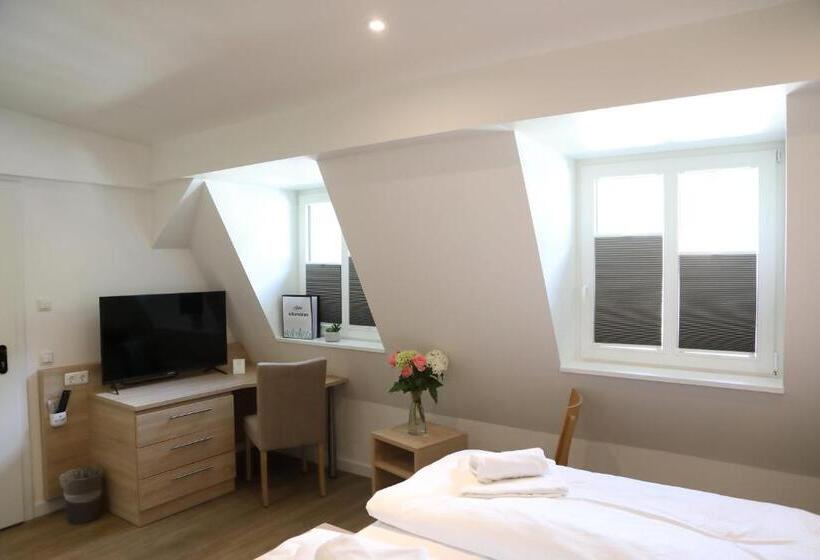 Pension Moselvilla 1900