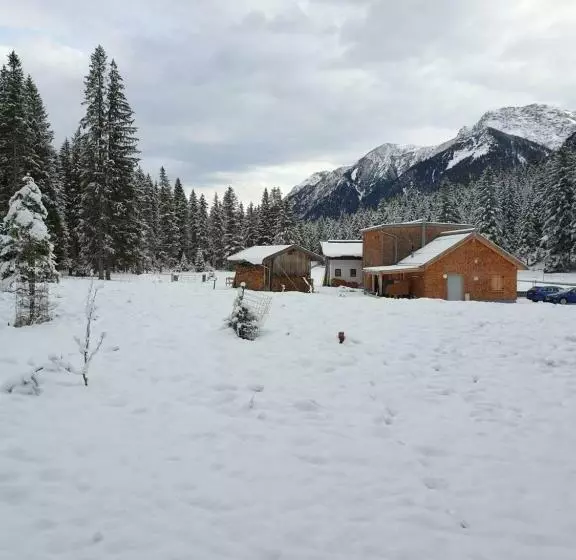 ユースホステル Ammerwald Alm
