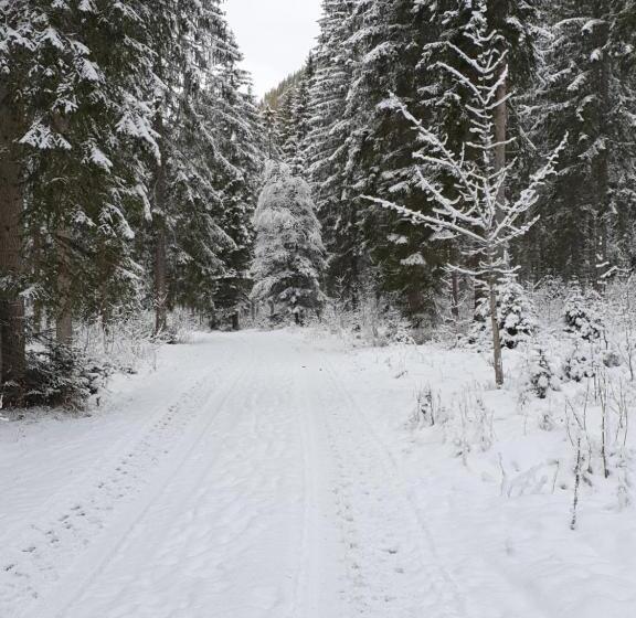 Общежитие Ammerwald Alm