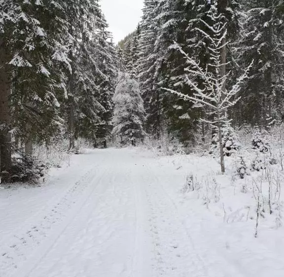 ユースホステル Ammerwald Alm