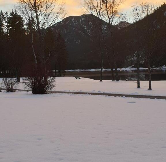 Общежитие Ammerwald Alm