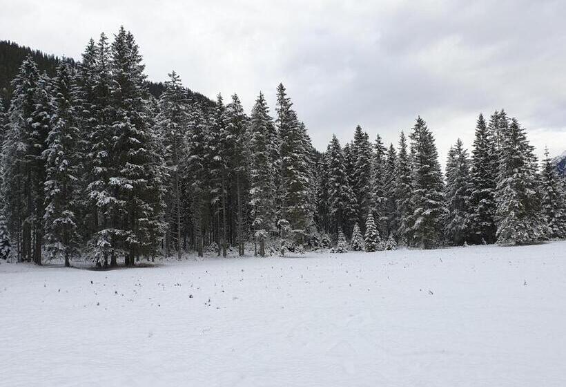 Общежитие Ammerwald Alm