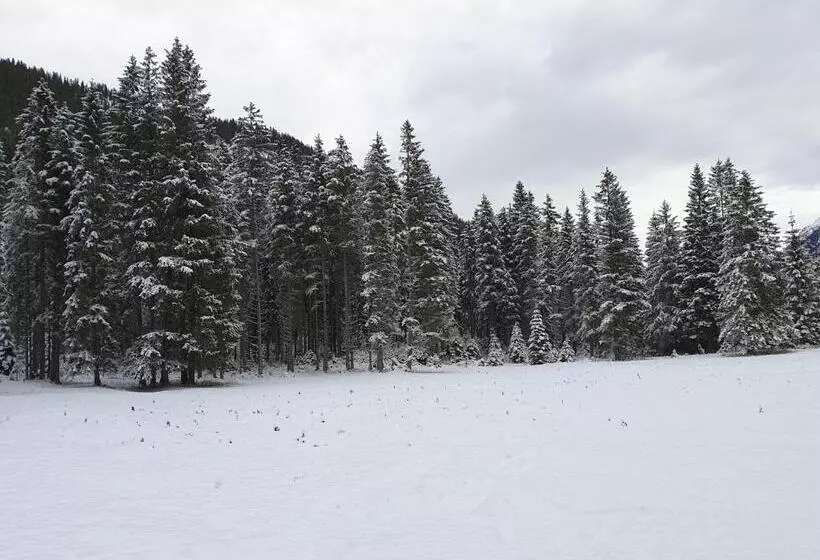 ユースホステル Ammerwald Alm