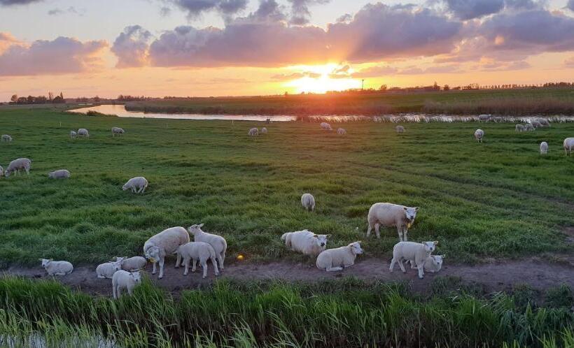 ベッドアンドブレックファースト Bnb Heirhuys