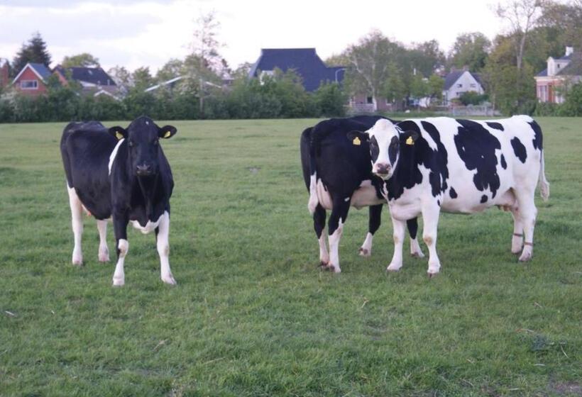 ベッドアンドブレックファースト Bnb Heirhuys