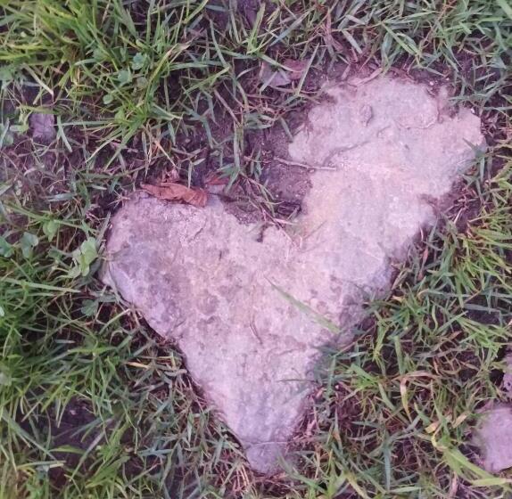 住宿加早餐 Palheiro Do Malgas