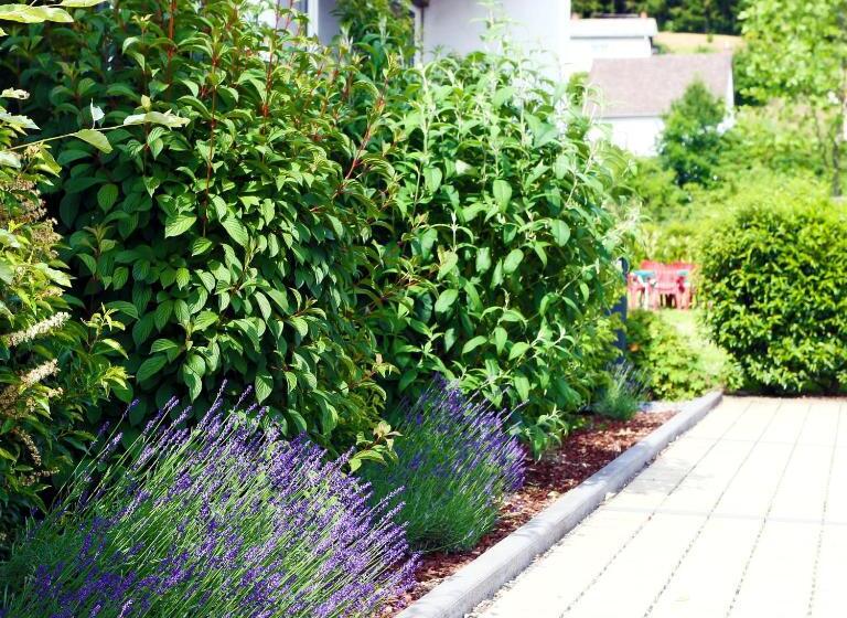 בית מלון כפרי Kickert