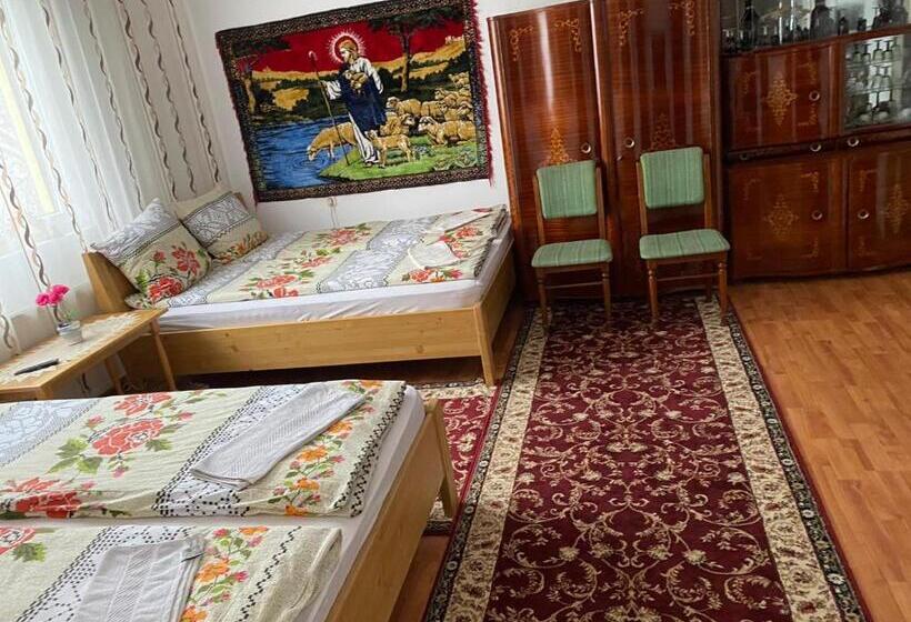 بنسيون Camere De închiriat Floarea Reginei