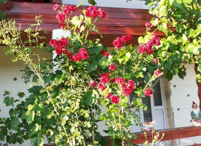 Majatalo Casa La Andrei