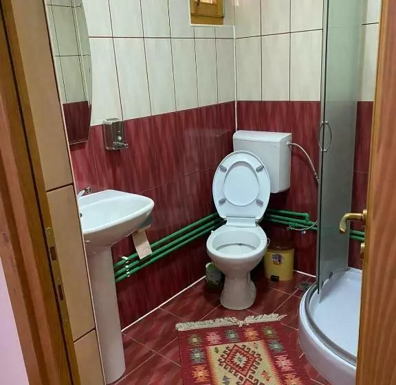 ペンション Camere De închiriat Floarea Reginei