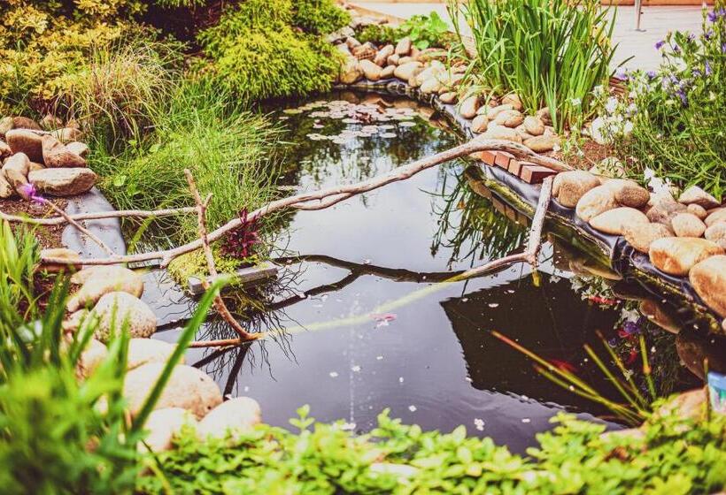 Relitto Boutique Und Aparthotel Borkum