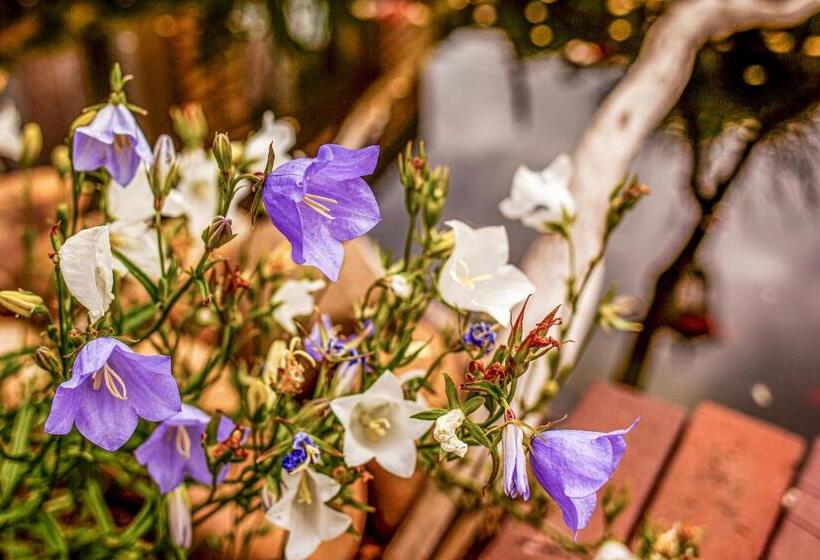 Relitto Boutique Und Aparthotel Borkum