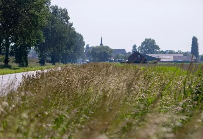 Aamiaismajoitus (B&B) Eglizen