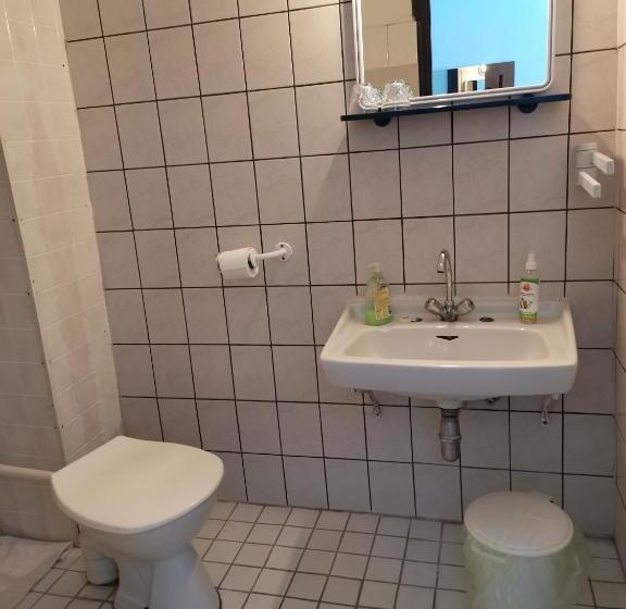 住宿加早餐 Villa Negra Retro Panzió