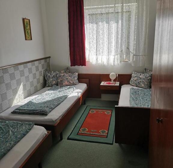 住宿加早餐 Villa Negra Retro Panzió