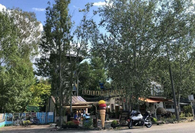 住宿加早餐 Villa Negra Retro Panzió