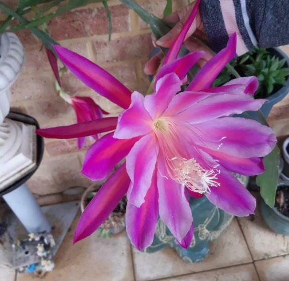 Mundaring Bed And Breakfast