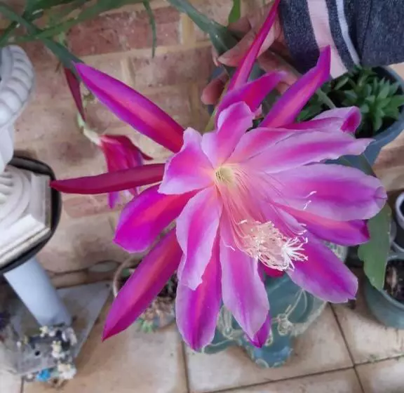 Mundaring Bed And Breakfast