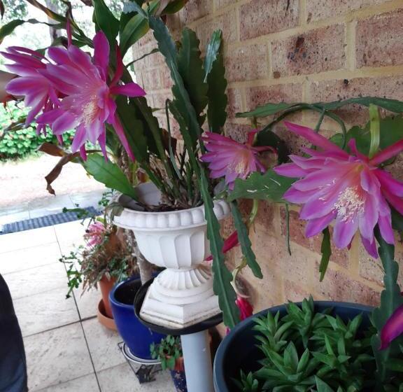 Mundaring Bed And Breakfast