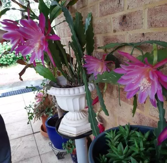 Mundaring Bed And Breakfast