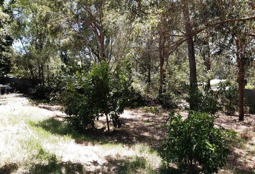 Mundaring Bed And Breakfast