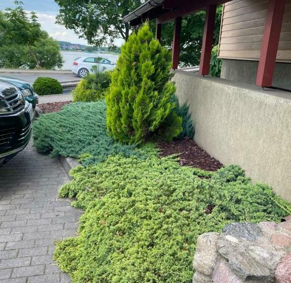 تختخواب و صبحانه Salos