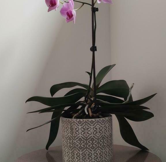 تختخواب و صبحانه Chambre D Hôtes Du Muguet Avec Sdb Privative