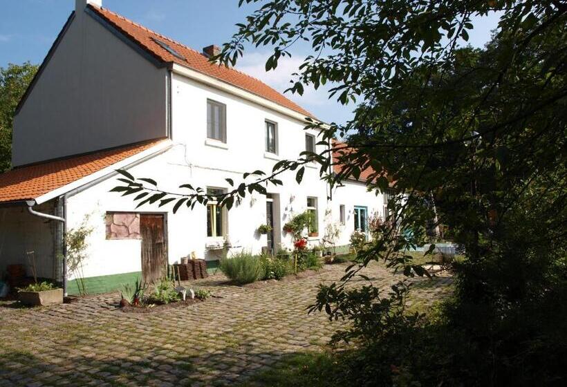 تختخواب و صبحانه Slaaphuisje Het Vliegend Varken