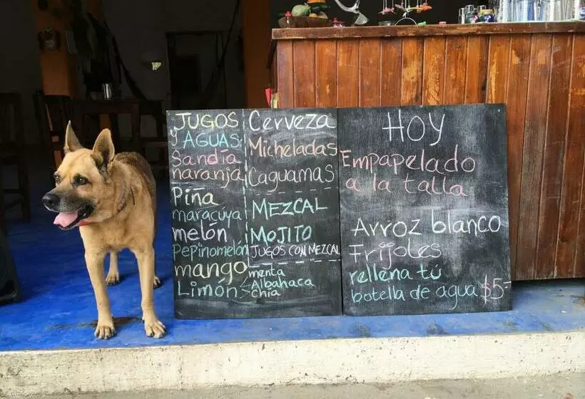 ペンション Casa Galindo