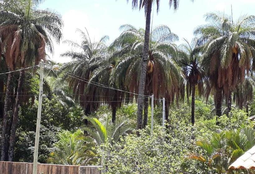 ペンション Nova Beco Das Cores Flats E Pousada