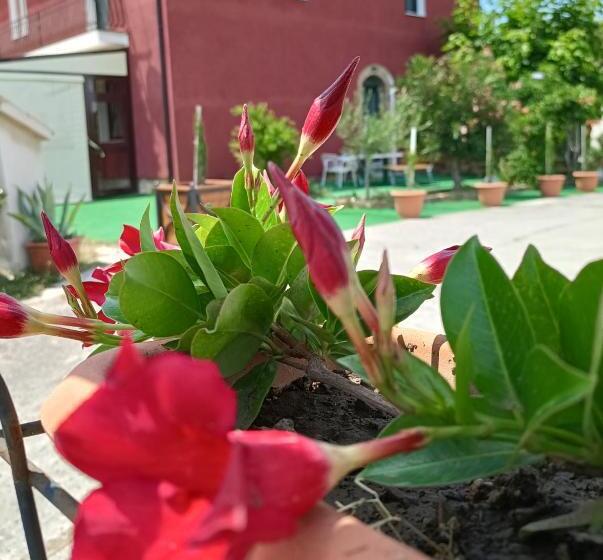 Agriturismo Macchia Dei Briganti   B&b