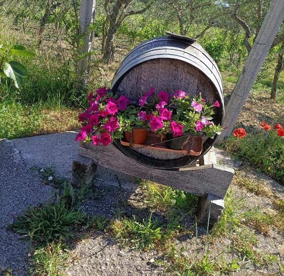 Agriturismo Macchia Dei Briganti   B&b