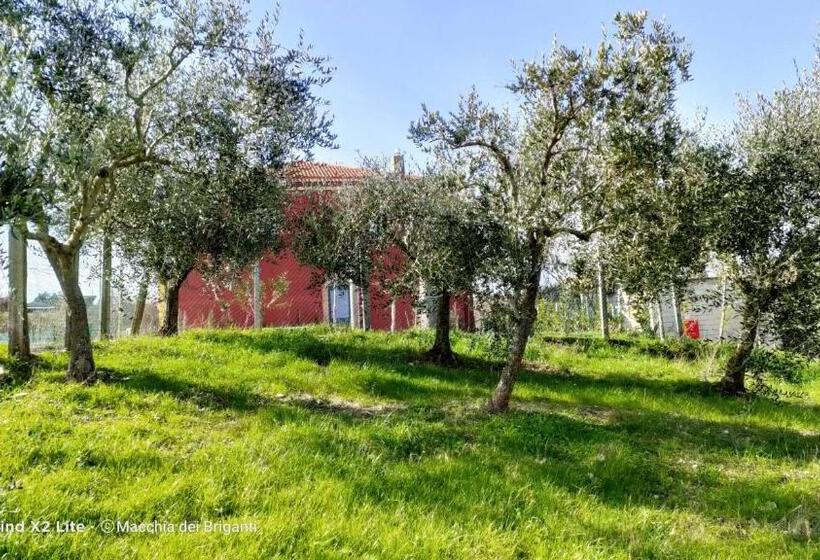 Agriturismo Macchia Dei Briganti   B&b