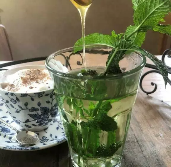 Familienpension Obere Juchhe, Ferienwohnung Und Zimmer