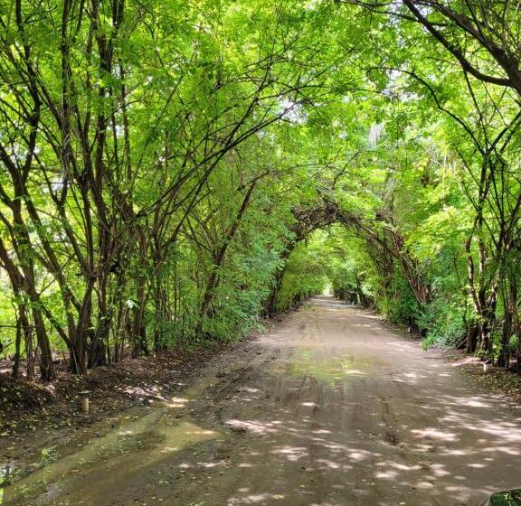 پانسیون Vila Sol Chalés