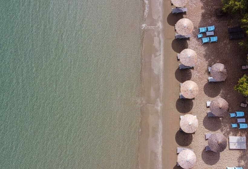 酒店 Almiriki Chios Rooms & Apartments