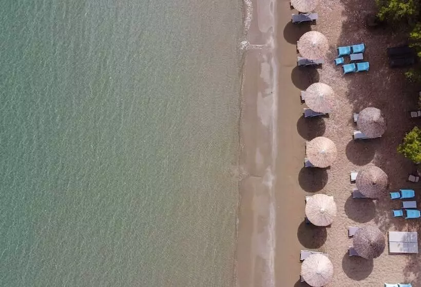 酒店 Almiriki Chios Rooms & Apartments