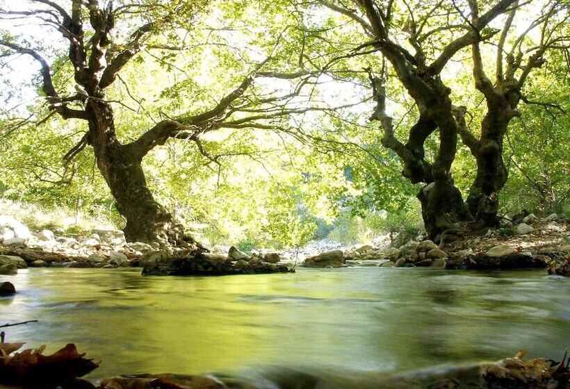 酒店 Abeliona Retreat