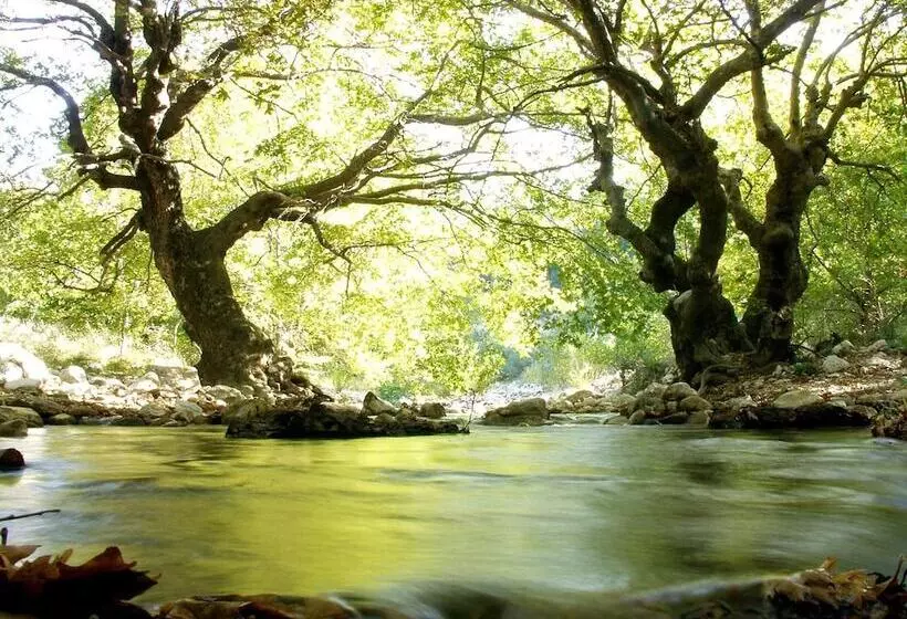 בית מלון כפרי Abeliona Retreat