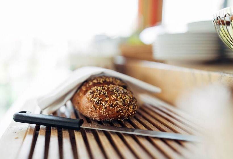 Harry S Home Dornbirn Hotel & Apartments